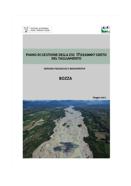 Bozza PDG Greto Del Tagliamento