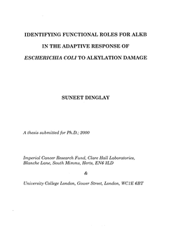 Identifying Functional Roles for Alkb in the Adaptive