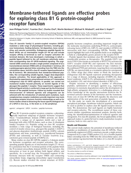 Membrane-Tethered Ligands Are Effective Probes for Exploring Class B1 G Protein-Coupled Receptor Function