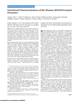 Functional Characterization of the Human RPGR Proximal Promoter