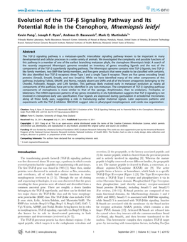 Evolution of the TGF-B Signaling Pathway and Its Potential Role in the Ctenophore, Mnemiopsis Leidyi