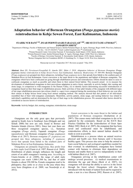 Adaptation Behavior of Bornean Orangutan (Pongo Pygmaeus Morio) Reintroduction in Kehje Sewen Forest, East Kalimantan, Indonesia