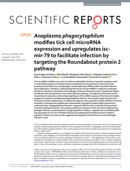 Anaplasma Phagocytophilum Modifies Tick Cell Microrna Expression And