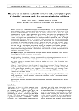 The European Ant Hunters Tracheliodes Curvitarsus and T. Varus (Hymenoptera: Crabronidae): Taxonomy, Species Discrimination, Distribution, and Biology