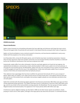 Arachnids) Physical Identification Spiders (Order Araneae