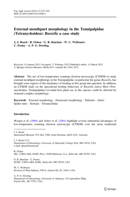 External Mouthpart Morphology in the Tenuipalpidae (Tetranychoidea): Raoiella a Case Study