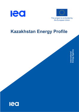 Energy Efficiency, Denmark Singapore Access to Energy, Estonia South Africa Demand Side Finland Thailand Management and France Much More