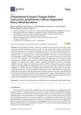 Unintentional Genomic Changes Endow Cupriavidus Metallidurans with an Augmented Heavy-Metal Resistance