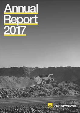 2017 Annual Report and Accounts