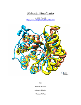 Instructions for PDB Downloading (From Either Website)