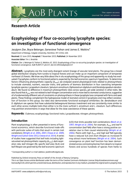 Ecophysiology of Four Co-Occurring Lycophyte Species: an Investigation of Functional Convergence