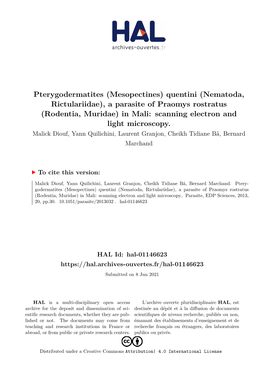 Pterygodermatites (Mesopectines) Quentini (Nematoda, Rictulariidae