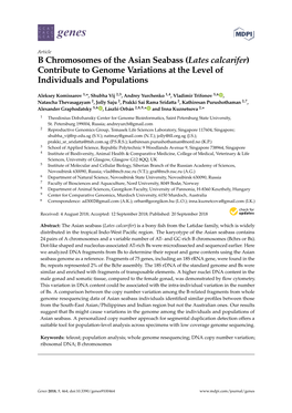 B Chromosomes of the Asian Seabass (Lates Calcarifer) Contribute to Genome Variations at the Level of Individuals and Populations