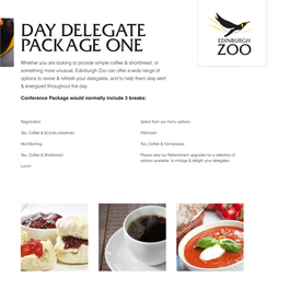 Day Delegate Package