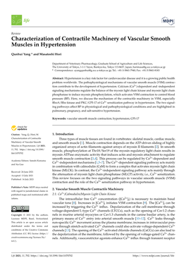 Characterization of Contractile Machinery of Vascular Smooth Muscles in Hypertension