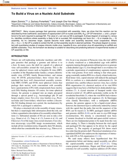 To Build a Virus on a Nucleic Acid Substrate