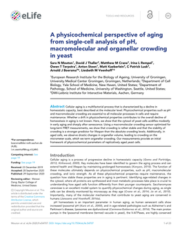 A Physicochemical Perspective of Aging from Single-Cell Analysis Of