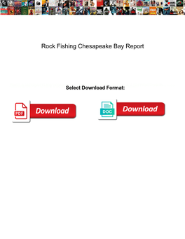 Rock Fishing Chesapeake Bay Report