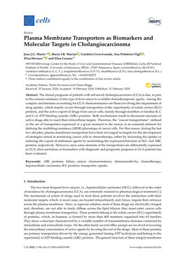 Plasma Membrane Transporters As Biomarkers and Molecular Targets in Cholangiocarcinoma