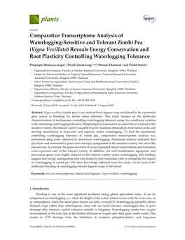 Comparative Transcriptome Analysis of Waterlogging-Sensitive