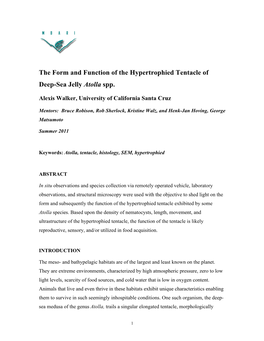 The Form and Function of the Hypertrophied Tentacle of Deep-Sea Jelly Atolla Spp