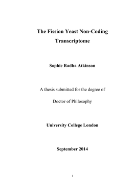 The Fission Yeast Non-Coding Transcriptome