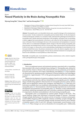 Neural Plasticity in the Brain During Neuropathic Pain