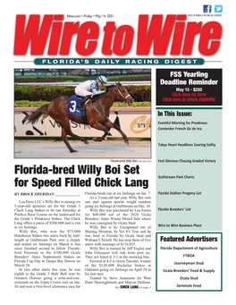 Florida-Bred Willy Boi Set for Speed Filled Chick Lang Gulfstream Park Charts