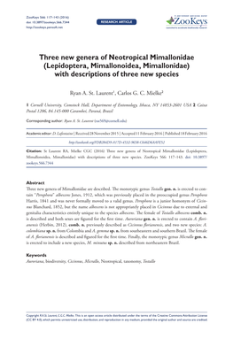 Lepidoptera, Mimallonoidea, Mimallonidae) with Descriptions of Three New Species