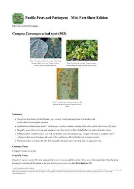 Cowpea Cercospora Leaf Spot (303)