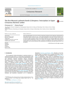 The First Mesozoic Palmetto Beetle (Coleoptera: Smicripidae) in Upper