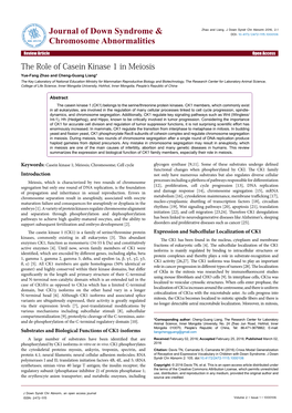 The Role of Casein Kinase 1 in Meiosis