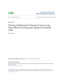 Chronic Amphetamine Exposure Causes Long Term Effects on Dopamine Uptake in Cultured Cells Nafisa Ferdous