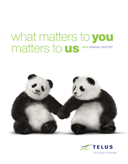 What Matters to You Matters to Us 2013 ANNUAL REPORT