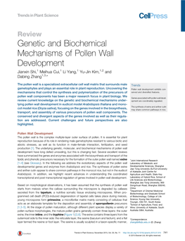 Genetic and Biochemical Mechanisms of Pollen Wall Development