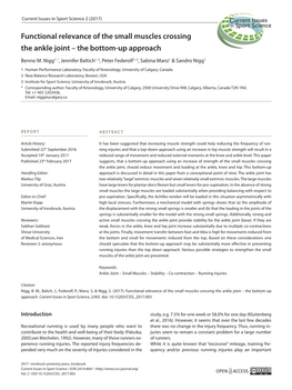 Functional Relevance of the Small Muscles Crossing the Ankle Joint – the Bottom-Up Approach