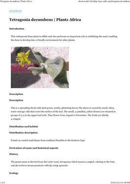 Tetragonia Decumbens | Plantz Africa About:Reader?Url=