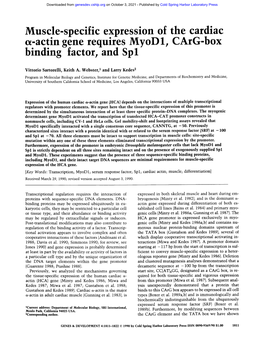 Actin Gene Requires Myod1, Carg-Box Binding Factor, and Spl