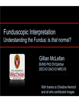 Funduscopic Interpretation Understanding the Fundus: Is That Normal?