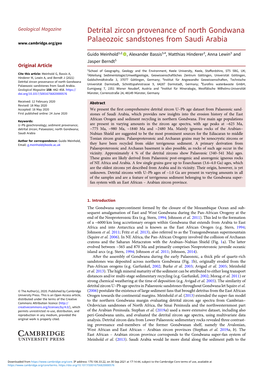 Detrital Zircon Provenance of North Gondwana Palaeozoic Sandstones from Saudi Arabia