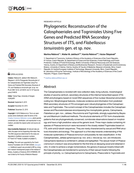 Phylogenetic Reconstruction of the Calosphaeriales and Togniniales Using Five Genes and Predicted RNA Secondary Structures of ITS, and Flabellascus Tenuirostris Gen