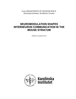 Neuromodulation Shapes Interneuron Communication in the Mouse Striatum