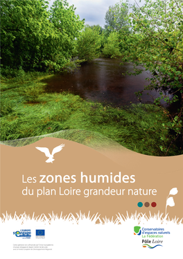 Les Zones Humides Du Plan Loire Grandeur Nature