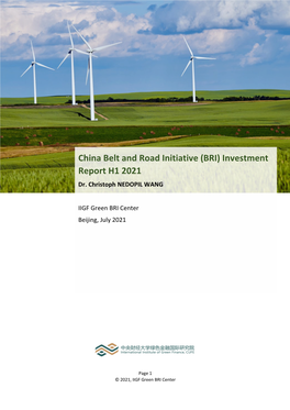 China Belt and Road Initiative (BRI) Investment