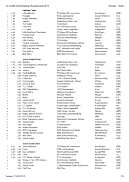 VII. ELITE Cheerleading Championship 2010 Results - Finals