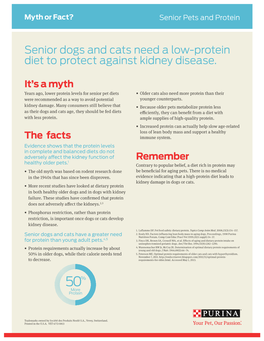 Senior Dogs and Cats Need a Low-Protein Diet to Protect Against Kidney Disease