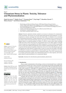 Chromium Stress in Plants: Toxicity, Tolerance and Phytoremediation