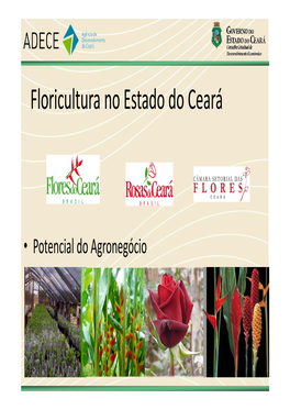 Floricultura No Estado Do Ceará