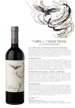 2017 the Owl and the Dust Devil Icon Blend ESP.Pptx