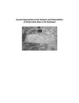 Current Approaches to the Analysis and Interpretation of Small Lithic Sites in the Northeast the UNIVERSITY of the STATE of NEW YORK